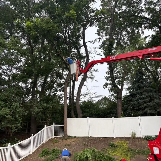 A tracked spider lift reaching over a white vinyl fence into a Berks County back yard, one man cutting from the bucket and a groundsman below