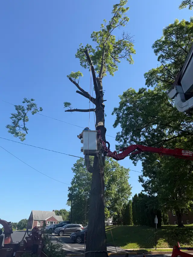 A bucket operator taking a bare spar down in sections above a parking lot of cars and overhead power lines